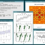 Manuales y tutoriales de estadística