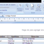 Impresión del libro de Excel