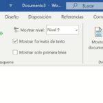 Documento maestro en Word (Vista Esquema)