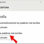 Ortografía en Windows 10