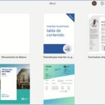 Características y novedades de Word 2019