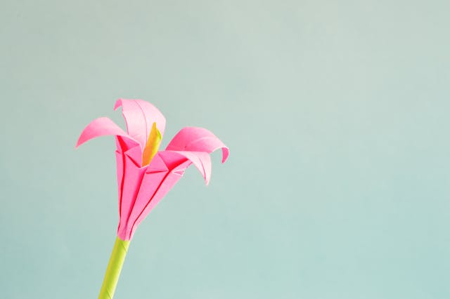 Origami papiroflexia